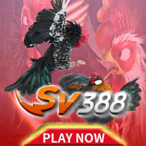 Game_07_sv388